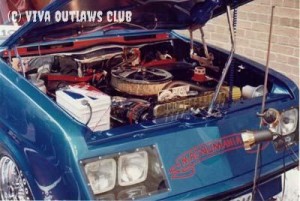 Other Vivas 14 - Magnumania